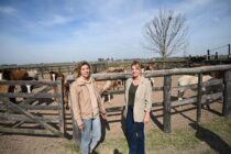 RESCATE DE CABALLOS MALTRATADOS, CON LA INTENDENTA AL FRENTE