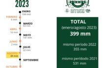 CAYERON 36 MM EN PLANTA URBANA HASTA LAS 8 DE LA MAÑANA DE HOY