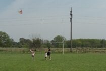 FUE UN EXITO LA CUARTA BARRILETEADA «DON CARLITOS AREVALO» EN EL PREDIO DE RIVADAVIA RUGBY