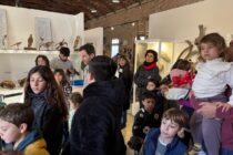 CHICOS Y GRANDES DISFRUTAN DEL PROGRAMA GRATUITO DE VACACIONES DE INVIERNO