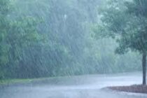 LLUVIA. EN PLANTA URBANA CAYERON 32 MILIMETROS