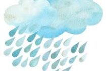 LLUVIA CAIDA. EN PLANTA URBANA LLOVIERON 60 MM HASTA LAS 7