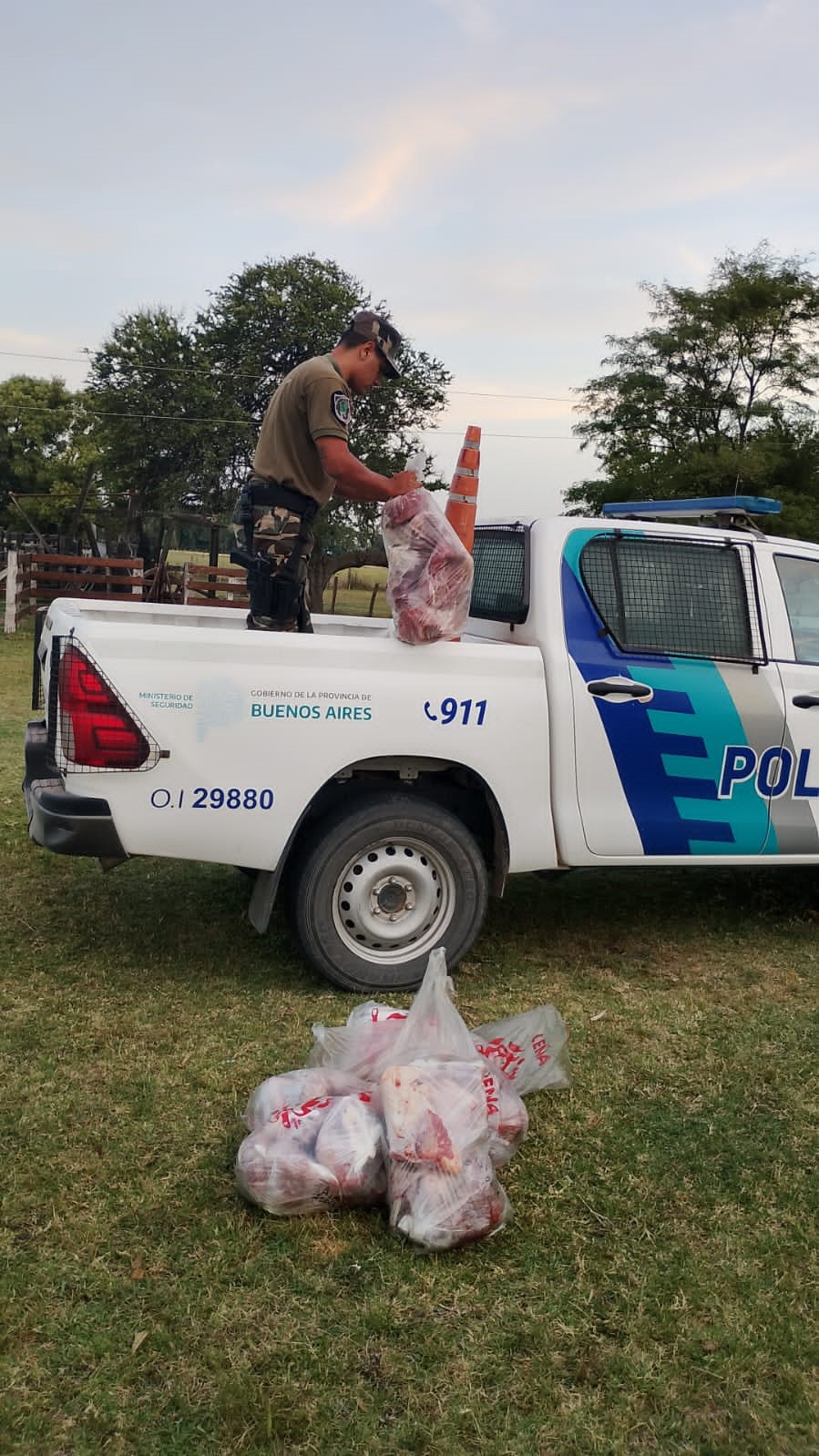 INFORME DE CASO DE ABIGEATO CON UN SUJETO IMPUTADO