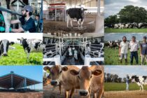 MASTELLONE HERMANOS CONMEMORA EL DIA DEL TAMBERO