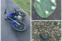 POLICIA VIAL DETUVO A UN SUJETO QUE CIRCULABA EN MOTO ROBADA, LLEVANDO COCAINA Y UN ARMA DE FUEGO