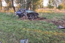 DESPISTE DE UN AUTO Y CHOQUE CON UN ÁRBOL EN RUTA 41