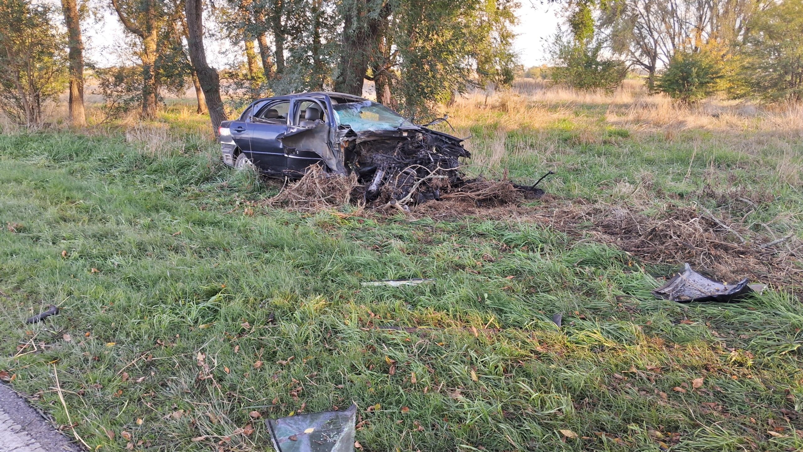 DESPISTE DE UN AUTO Y CHOQUE CON UN ÁRBOL EN RUTA 41