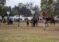 QUINTA FIESTA DE LA TRADICION EN ACUYAI, CON MUY BUEN NIVEL DE DESTREZA Y CARPA COLMADA EN LOS FOGONES Y BAILES