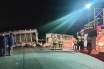 VOLCO UN CAMION CON GANADO PORCINO SOBRE LA RUTA 205, EL CHOFER TRASLADADO AL HOSPITAL