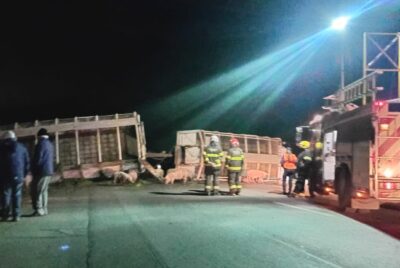 VOLCO UN CAMION CON GANADO PORCINO SOBRE LA RUTA 205, EL CHOFER TRASLADADO AL HOSPITAL