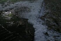 INFORME DEL TEMPORAL EN LOBOS