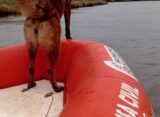 INFORME DE DEFENSA CIVIL LOBOS, COLABORACION EN LA BUSQUEDA DE UNA PERSONA EN EL ARROYO SALADILLO