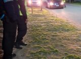 OPERATIVO DE POLICIA Y TRANSITO MUNICIPAL CON 143 VEHICULOS IDENTIFICADOS